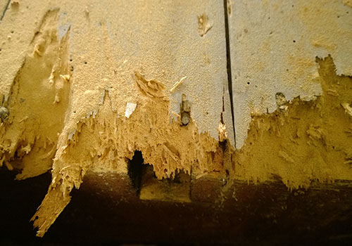wood6